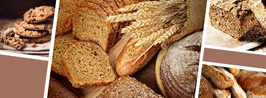 12036559_569259526563325_4848308782849702246_n